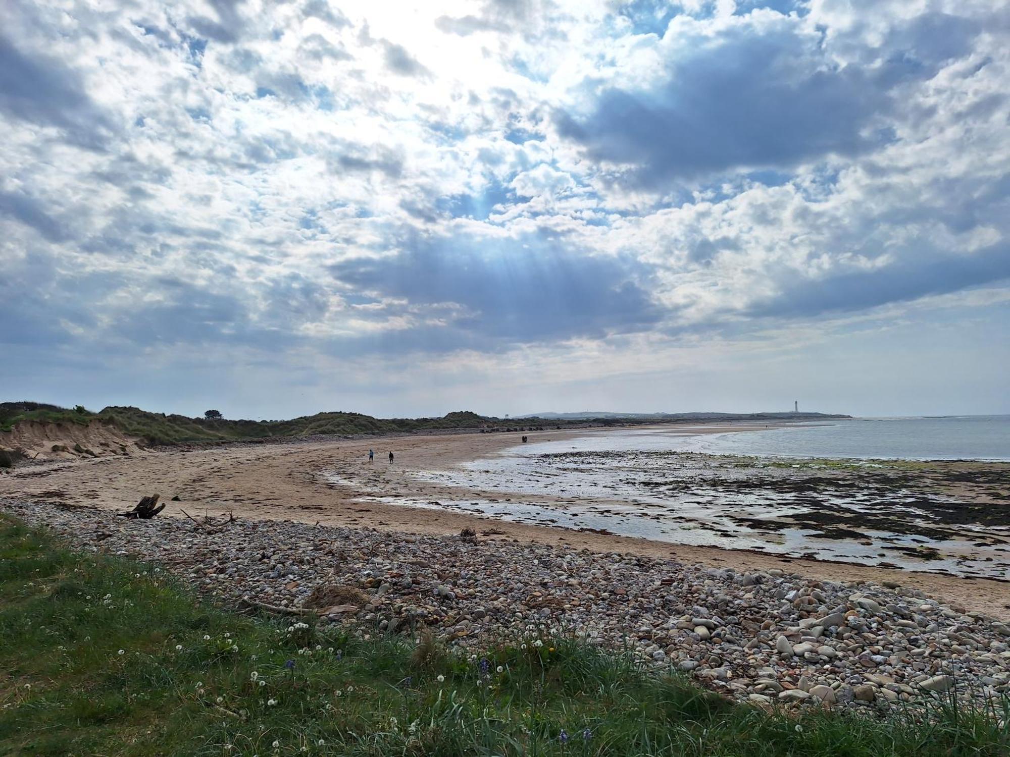 1 Fulmar Road**Next To West Beach And Golf Course Lossiemouth Exterior foto